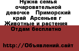 Нужна семья очаровательной девочке - Приморский край, Арсеньев г. Животные и растения » Отдам бесплатно   